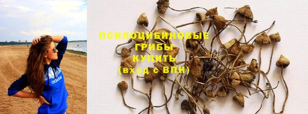 первитин Видное
