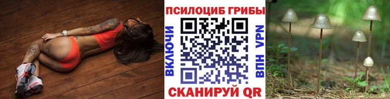 Псилоцибиновые грибы MAGIC MUSHROOMS  даркнет сайт  Карачев 